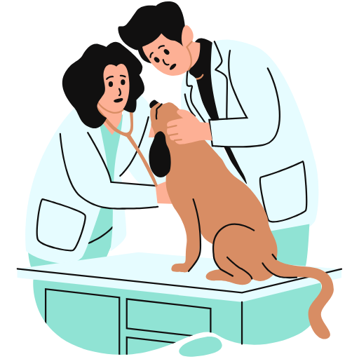 INTERNACIÓN thumbnail